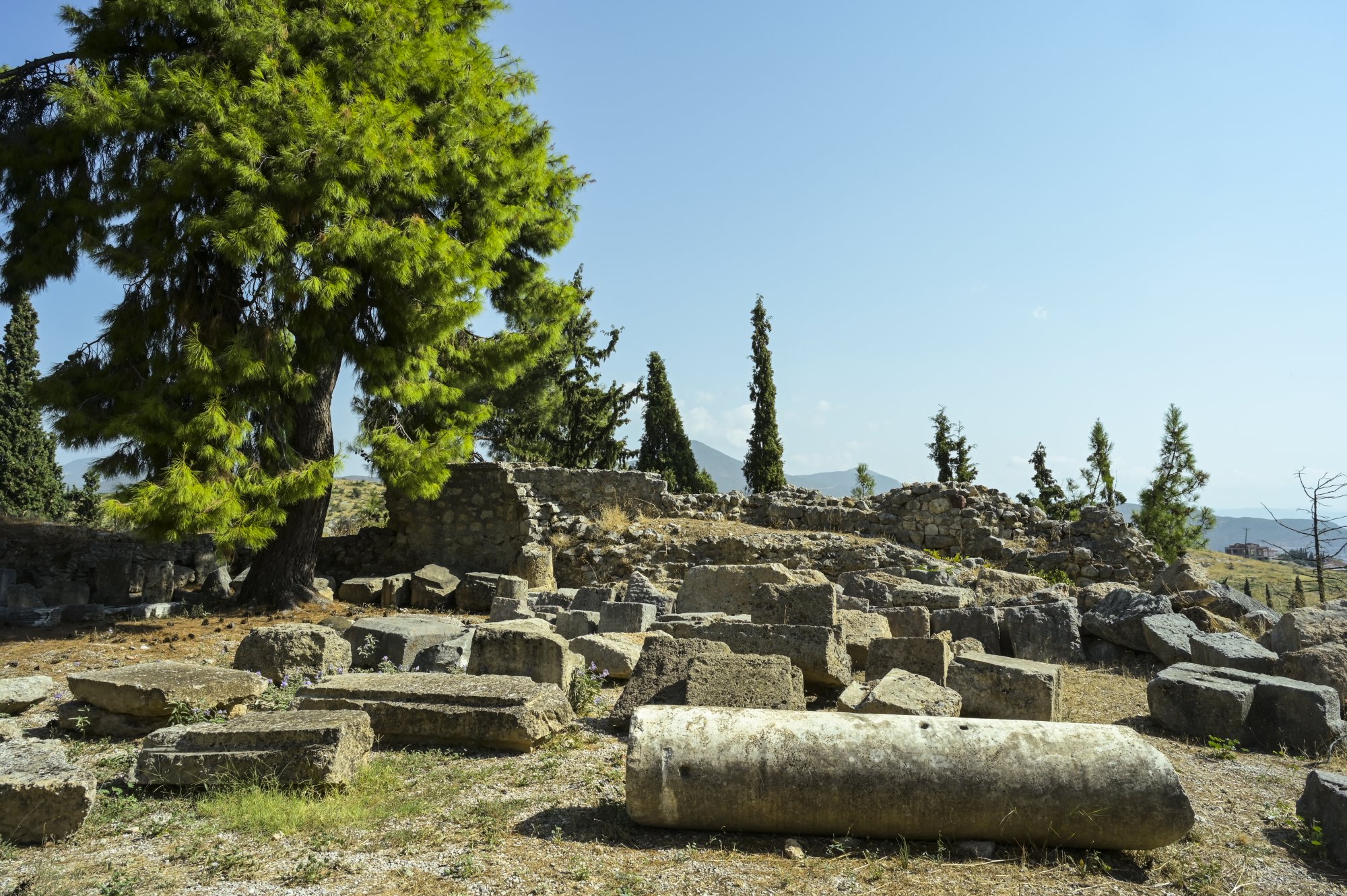 Φεστιβάλ Θερμοπυλίων 2024: Μια Γιορτή Πολιτισμού και Ιστορίας με Διεθνή Παράγοντες