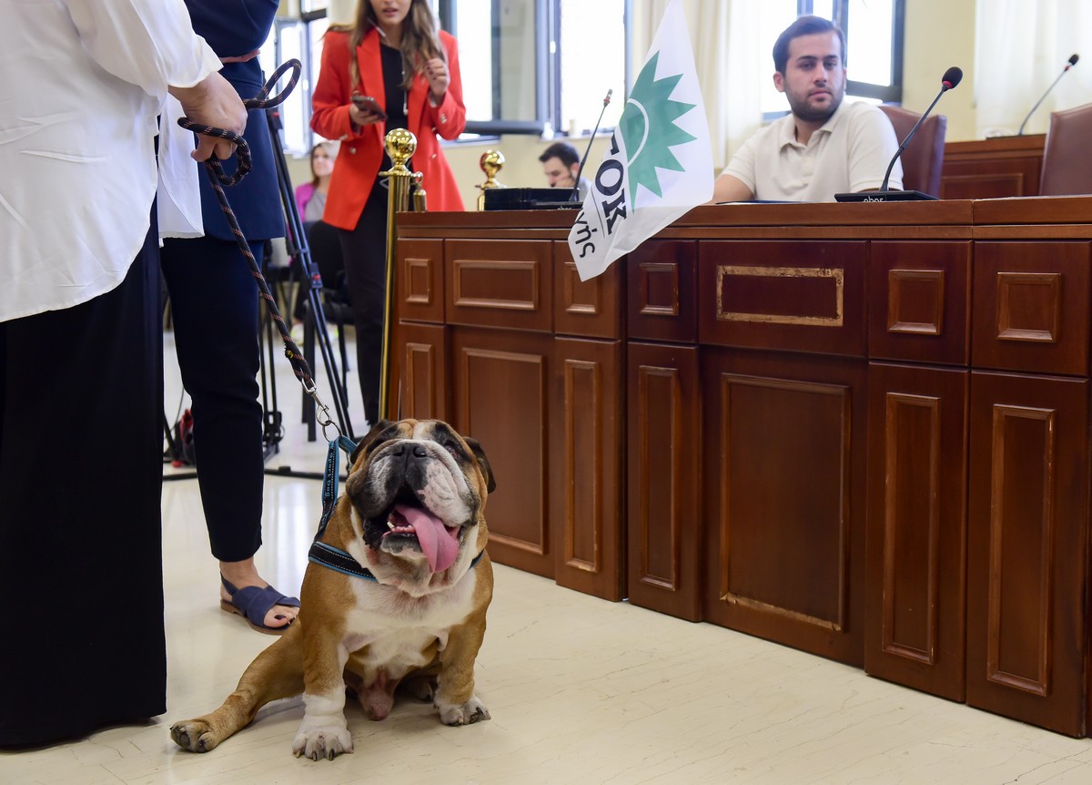 Εκλογική Γιορτή για το ΠΑΣΟΚ με Μεγάλη Συμμετοχή και Νέα Πρόσωπα